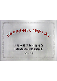上?？萍夹【奕伺嘤髽I(yè)